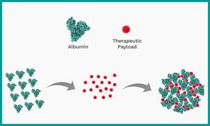 Nano-Albumin-gebundene