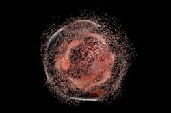 Cell Lysis techniques Cell Lysis techniques