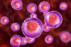 Cell Disruption methods