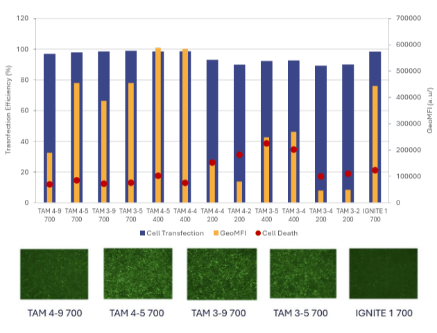 Figure-9-Comparison-of-Cell-Transfection_-Cell-viability-and-Protein-expression-following-a-16-hours
