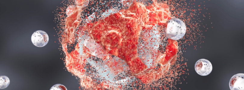 Destruction of a cell Destruction of a cell