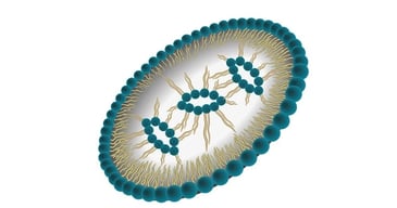 Lipid Nanoparticles