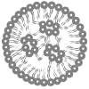 Lipid-Nanoparticle-ICON-UPDATED-01-_1_