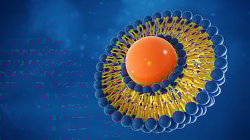 Solvent-free Manufacturing of Liposomes