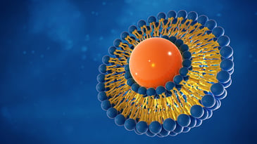 Solvent-free Manufacturing of Liposomes