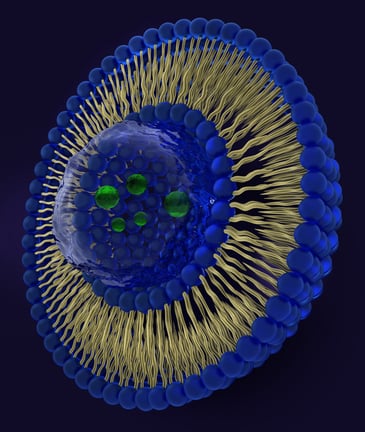 Liposome