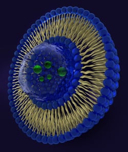 Liposome make up Liposome make up