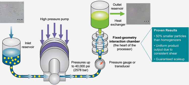 How does a Microfluidizer Work?