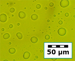 nanoencapsulation-a
