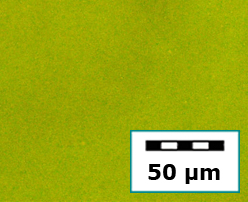 nanoencapsulation-b (1)