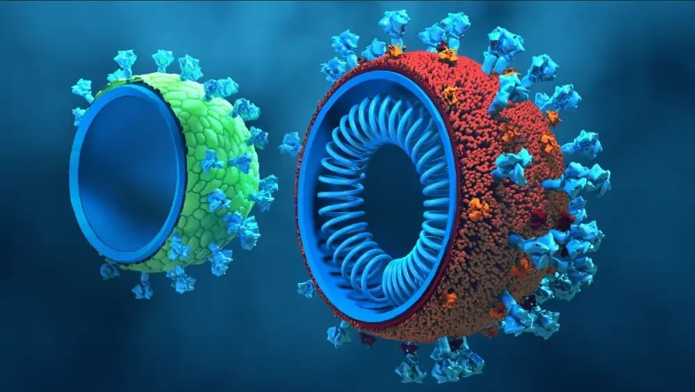 Technology for vaccine development and production