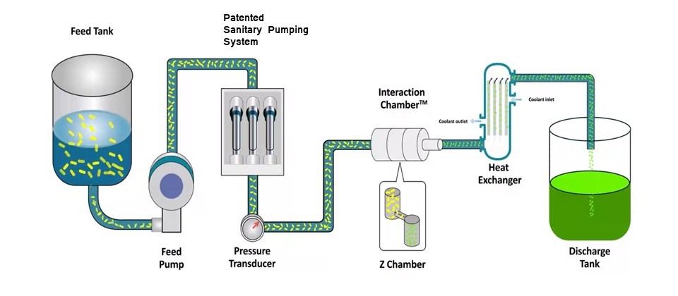 Microfluidics- Microlyser MP350 - Schematic