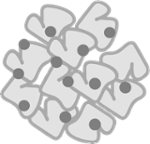 NAB-ICON-1-app-1