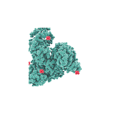 nanoparticle albumin-bound technology