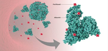 Nanoparticle Albumin Bound (nab) Paclitaxel 