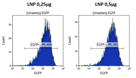 eGFP-at-difference-doses-in-HSC-2 eGFP-at-difference-doses-in-HSC-2