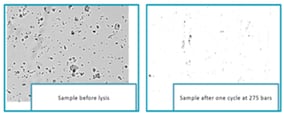 microfluidizer-cell-lysis-sample-gene-therapy