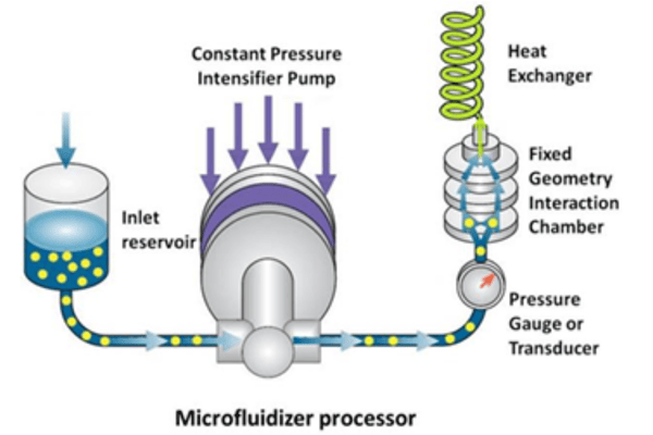 microfluidizer-process-diagram
