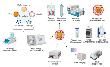 Enhancing Organ Preservation With Nanoemulsions