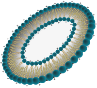 Liposomes