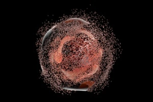 Cell Lysis techniques Cell Lysis techniques