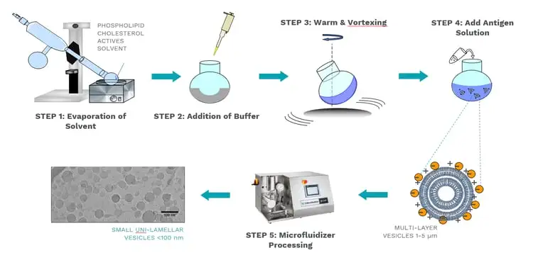 Lipid nanoparticle production steps - Ref: University of Strathclyde research