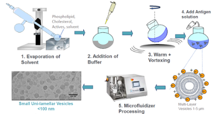 Lipid nanoparticles preparation techniques