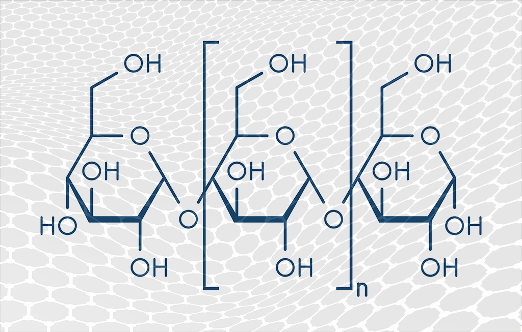 Polysaccharides Processing Solutions