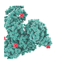 Nanoparticle albumin-bound (Nab) technology