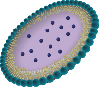 Nanoemulsions