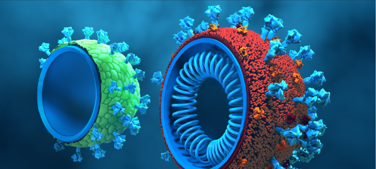 Lipid Nanoparticles Cell Image